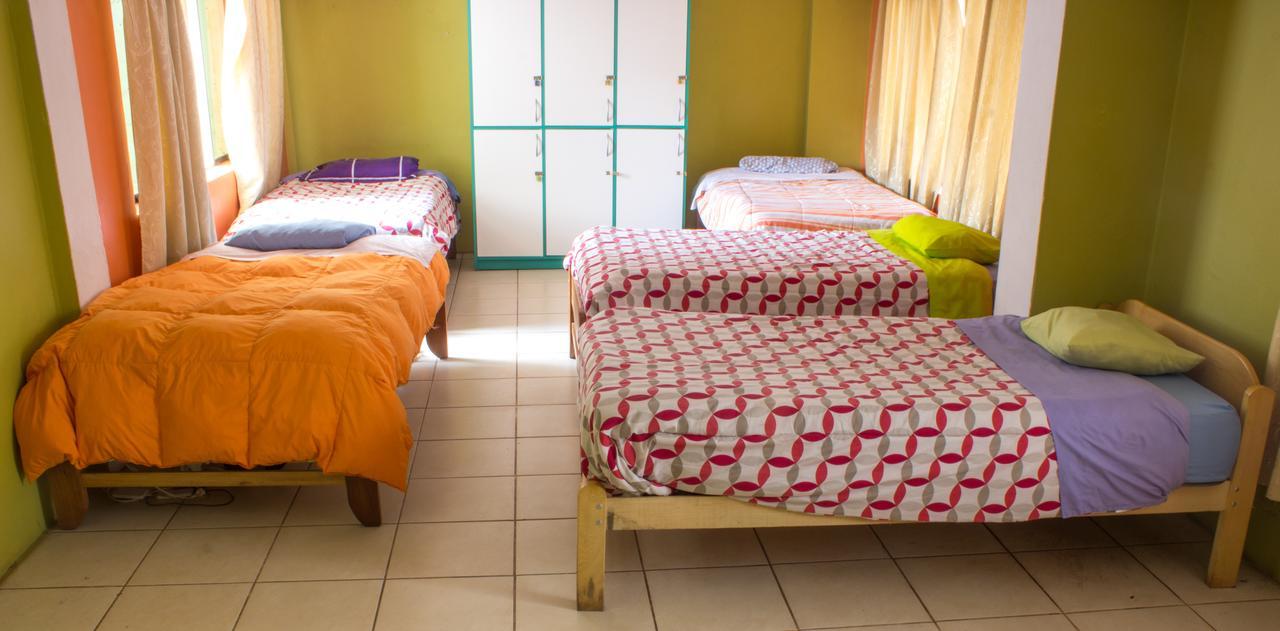 The Grasshopper Hostel Cusco Ngoại thất bức ảnh